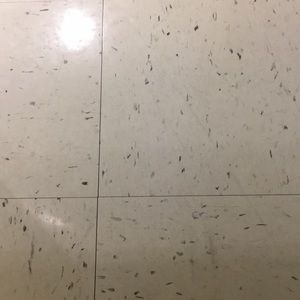 Meet your Posher, Ronnie